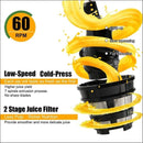 Stainless Steel Chute Masticating Juicer