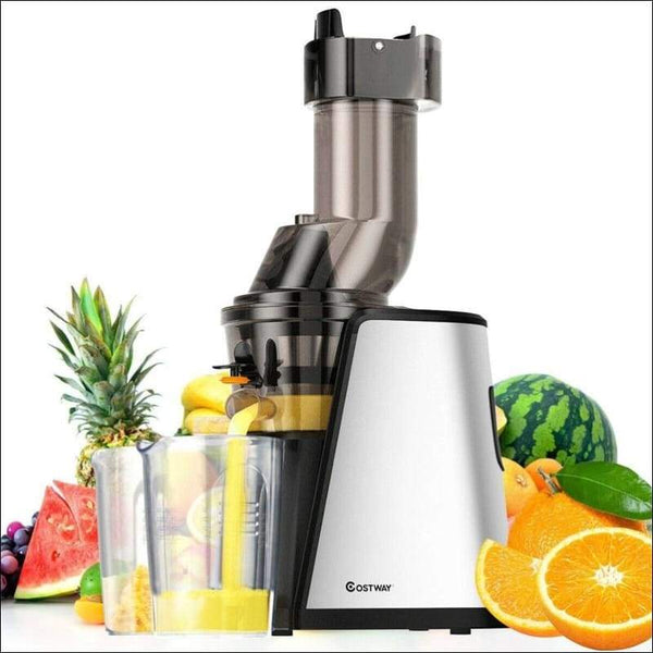 Stainless Steel Chute Masticating Juicer
