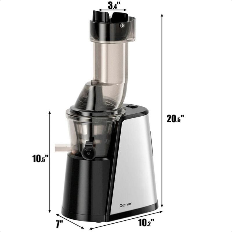 Stainless Steel Chute Masticating Juicer